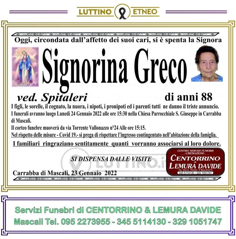 Signorina  Greco 